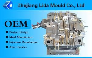 Injection Plastic Mold for Automotive Product (LIDA-E10D)