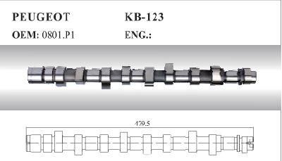 Auto Camshaft for Peugeot (0801. P1)