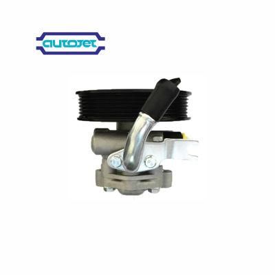 Power Steering Pumps for American, British, Japanese and Korean Cars High Quality and Favorable Price