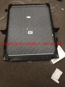 Wg9918530001 Radiator&#160; Sinotruk HOWO Truck Spare Parts