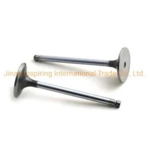 Exhaust Valve Vg1560050041 for Sinotruk Truck Engine Parts