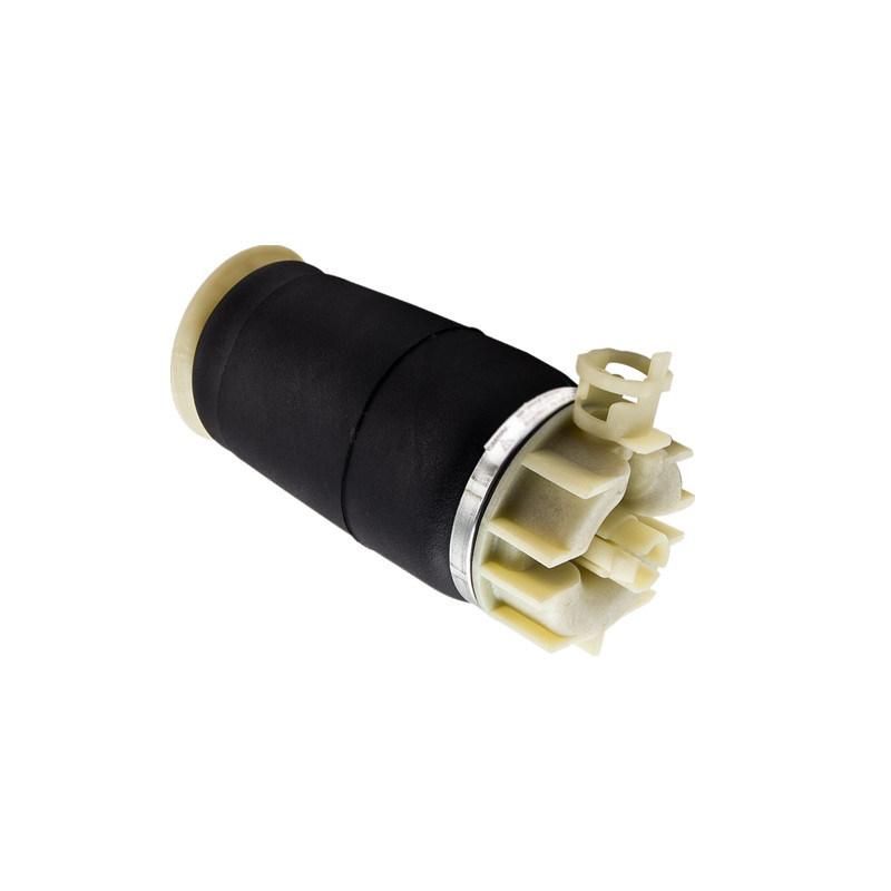 Top Sale Auto Parts Rear Left Right Air Suspension Spring for Ford Windstar F58z2c026ca/3u2z5580ga/1f2z4a013AA/2f2z4b435ab