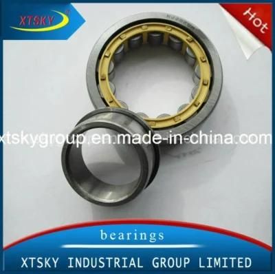 Hot Selling Cylinder Roller Bearing (NJ206EM)