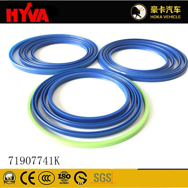 Original and High-Quality Hyva Spare Parts Seal Kit for 179-4 71907741K