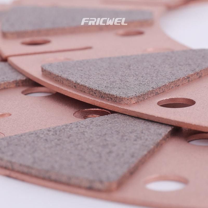 Fricwel Factory Price High Quality Cars Racing Disc (B10000)