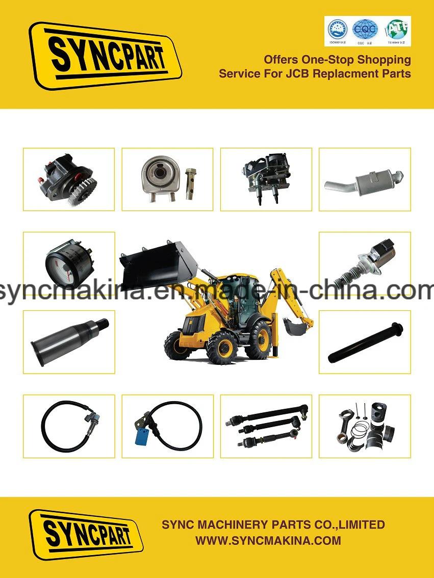 Jcb Spare Parts for Backhoe Loader 3cx and 4cx Filter 32/925254; 32/925255 160/00971 331/50639 1450/1007 17/103801 17/105401