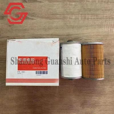 Oil Filter Fuel Filter for Auto Parts