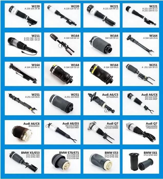 Front Air Spring Air Suspension and Kits for Audi A8 D3