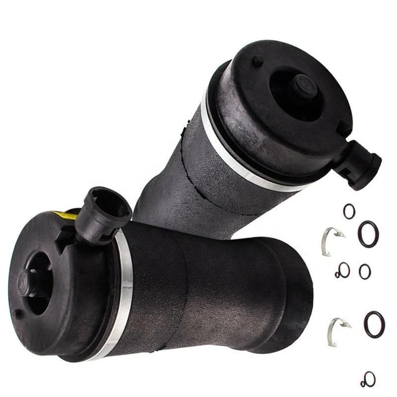 Auto Part Air Suspension System Air Spring for Ford Expedition / Lincoln Navigator 2W Shock Absorber OEM 3u2z5580ka 1L1z5319AA