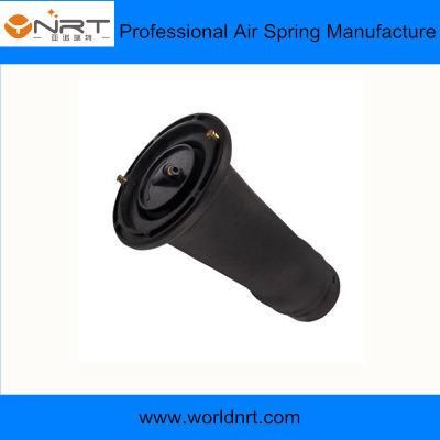 High Quality Car Parts Land Rover Discovery II Lj/Discovery III Taa Rear Rkb101200 Shock Absorber Air Bag Suspension