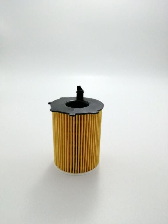 Hu716/2X Ox171/2D E40HD105 Oil Filter