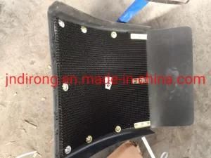 Wg9719950111 Mud Guard&#160; Sinotruk HOWO Truck Spare Parts