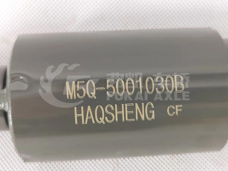 M5q-5001030A Front Shock Absorber for Dongfeng Liuqi Balong Truck Spare Parts