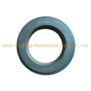 Shacman and Sinotruk Heavy Truck Parts Balance Shaft Bearing 199114520042