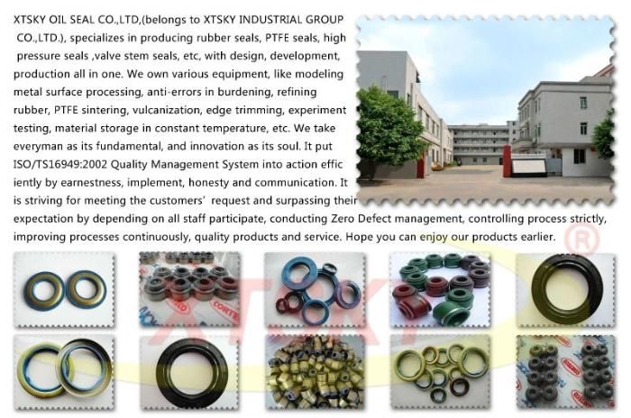 Xtsky Crankshaft Oil Seal (71003500)