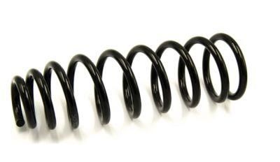 Heavy Duty Extension Coil Springs/Industrial Mechanical Springs