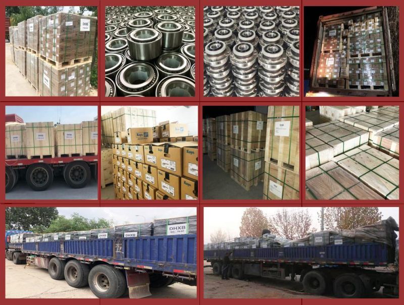 Factory Supply Tacking Bearing 3200200151 3434365000 4200200100 100167600 for Saf with Good Quality