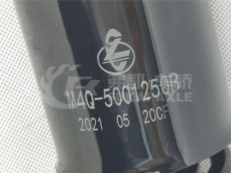 M4q-5001250b Cab Rear Suspension Shock Absorber for Liuqi Balong Chenglong Truck Spare Parts