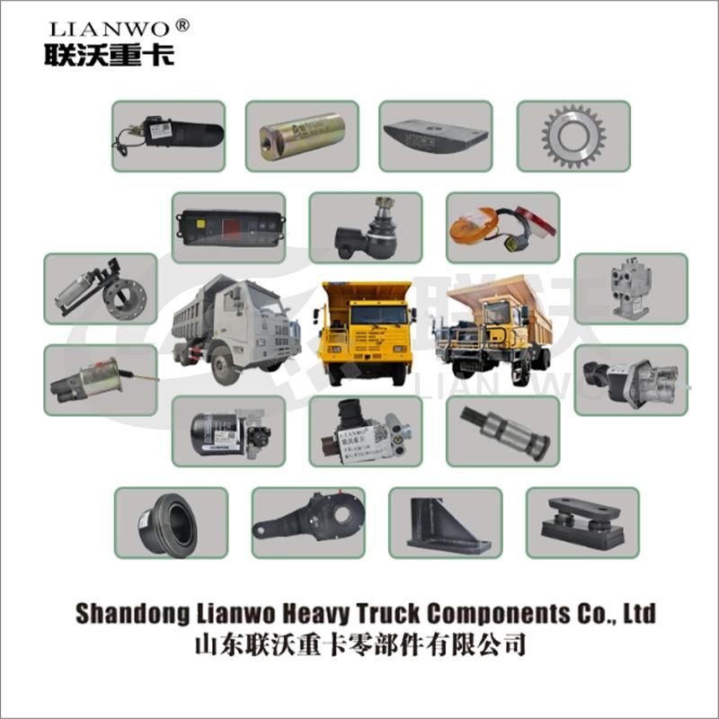 Sinotruk HOWO Truck Spare Parts Shocker Absorber Wg1629440091