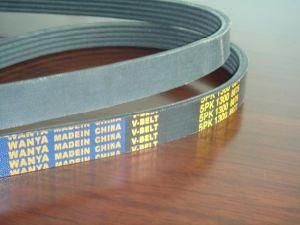 Ribbed Belt (6PK1665) for Auto