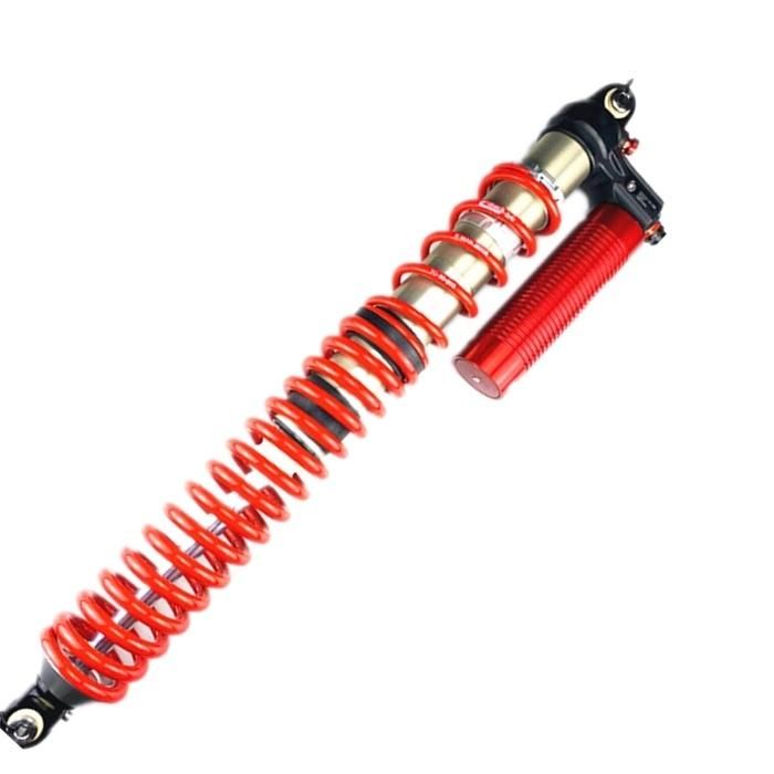 4 Ways Adjustment Racing Coilover Shock Absorber with Eibach Springs