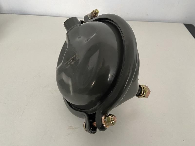 Reliable Supply Hot Sale Service Brake Chamber 9000360100