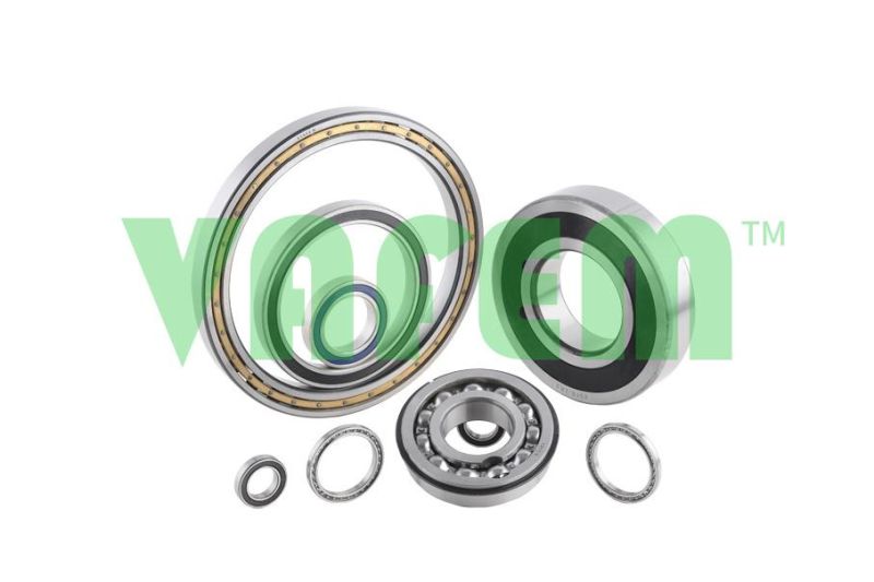 Wheel Bearing Dacm55900054/Ball Bearing/ China Factory