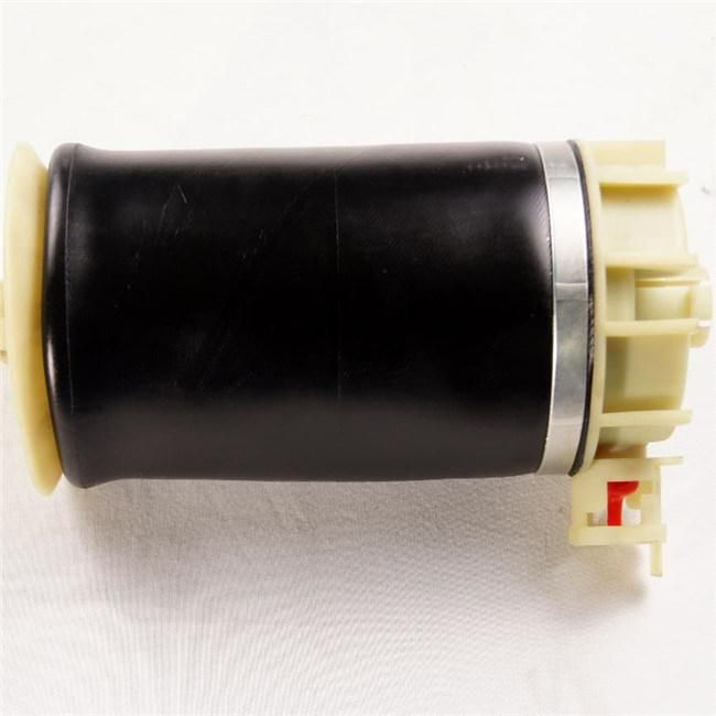 Top Sale Auto Parts Rear Left Right Air Suspension Spring for Ford Windstar F58z2c026ca/3u2z5580ga/1f2z4a013AA/2f2z4b435ab