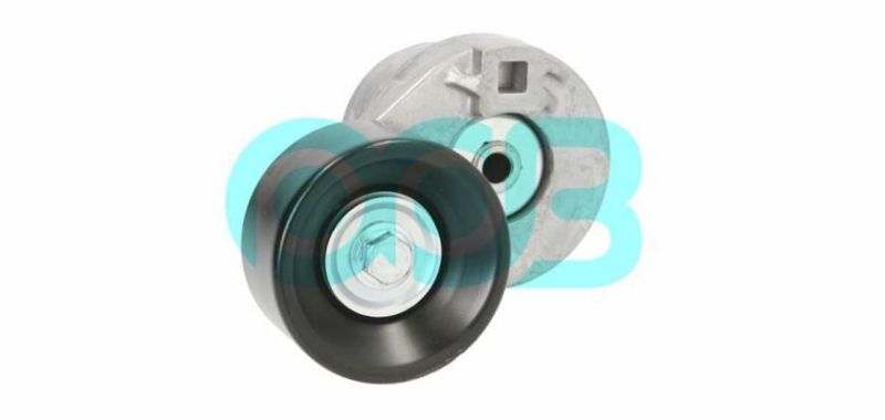 Belt Tensioner Lever 1119954 1333203 Yc1e6a228af Yc1e6a228AG Vkm34071 Apv2503 for Ford Transit