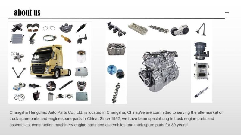 Sinotruk HOWO Shacman Truck Automotive Dedicated Power Steering System Control Arm Az9738410025