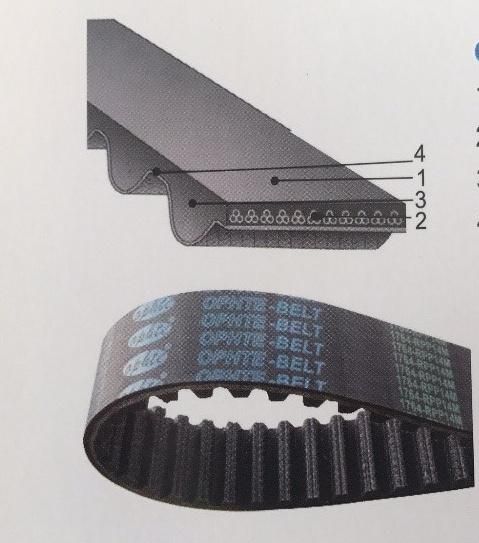 Tfl Coated Engine Driving Timing Belts