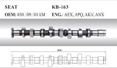 Auto Camshaft for Seat and VW (030.109.101am)