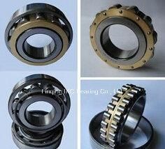 Cylindrical Roller Bearing N416, Nu416, Nup416, Nj416, Nu2216, Nup2216, Nj2216, Nu2316, Nup2316, Nj2316