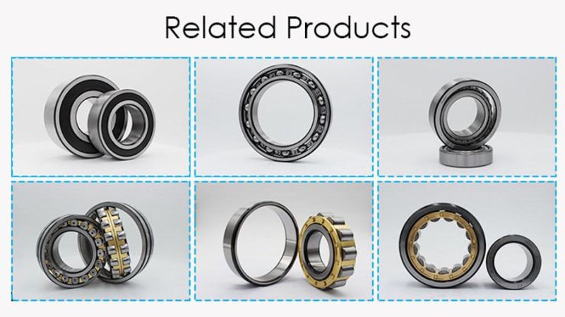 Nu/Nj/N/Nup 2232 2303 2304 2305 2306 2307 Cylindrical Roller Bearing for Auto Motorcycle or Truck