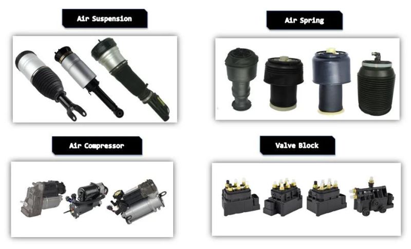 Rear Air Suspension Repair Kits for Audi A6