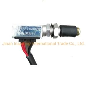 Sinotruk HOWO Spare Parts Brake Light Switch Wg9725716002