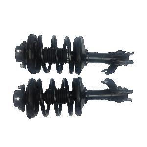 171941L/171942r Struts Assembly Shock Absorber for Nissan-Altima