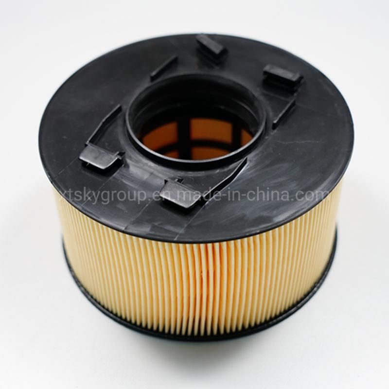 Xtsky Auto Part Manufacturer High Quality Auto Air Filter (OEM: 13717503141)