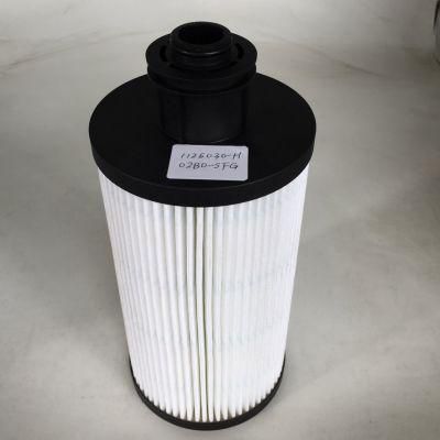 Auto Filter Filter Element 1125030-H02b0-Sfg