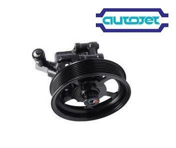 Car Parts High Quality Power Steering Pumps for American, British, Japanese and Korean Cars