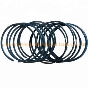 Weichai Wd615 Engine Parts Piston Rings Vg1560030040 for Sinotruk HOWO Spare Parts