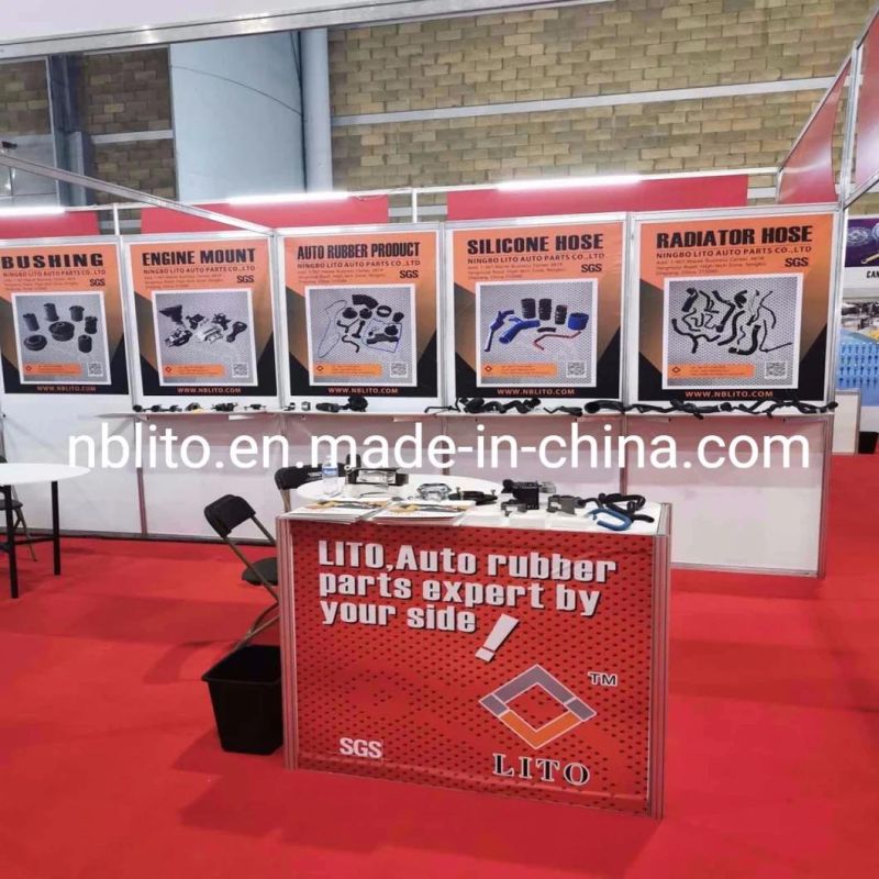 China Supplier of Suspension Bushing, Hub Carrier Bush for BMW
