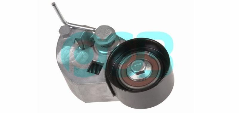 Car Auto Engine Parts 24410-27000 24410-27250 531084310 Vkm75628 Timing Belt Tensioner Bearing Complete with Holder for Hyundai KIA
