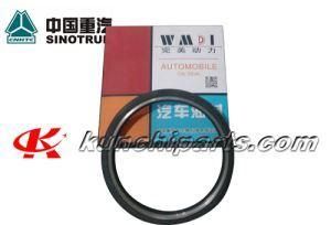 Vg1047010050 Crankshaft Rear Oil Seal for Sinotruk HOWO