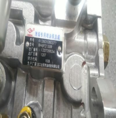 High Pressure Oil Pump 612601080377 for Weichai Wp10 Engine