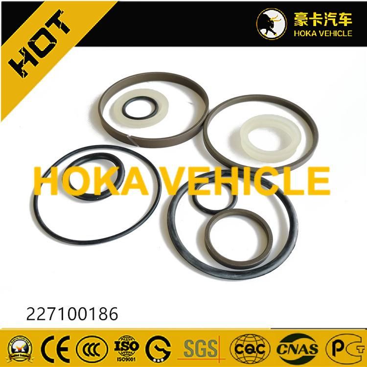 Original Spare Parts Repair Kit 227100186 for Wheel Loader/Grader Motor