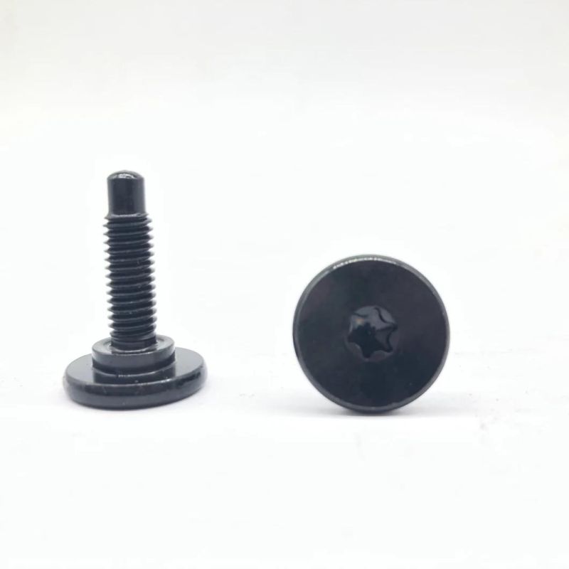 Torx Screw Step Screw Pan Head Screw for Auto Parts