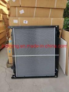 Sinotruk Radiator New HOWO Wg9525531461 Sinotruk Shacman Foton FAW Truck Spare Parts