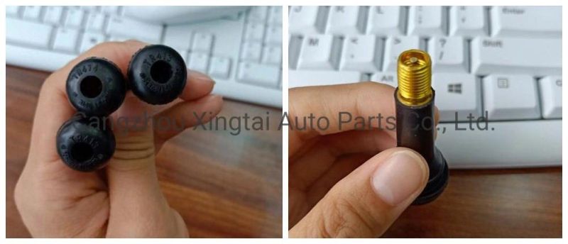 Aluminum/Zn Alloy/Copper High Quality Snap in Tubeless Tyre Valve Tr418