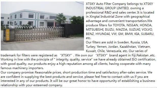 Xtsky Good Quality Air Filter 28113m4000